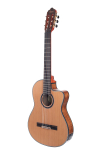 Chitarra classica - Serie VC770
