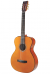 Chitarra classica - Serie Auditorium