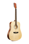 Chitarra acustica dreadnought